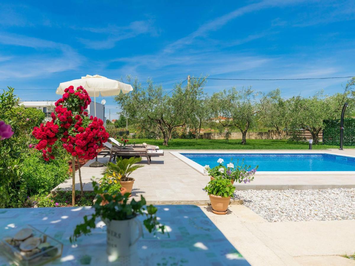 Holiday Home Chiara Novigrad Istria Esterno foto